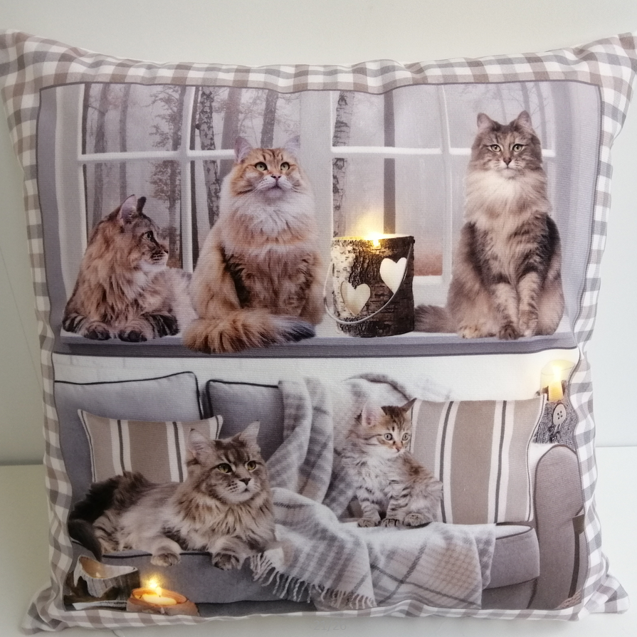 Copricuscino luminoso