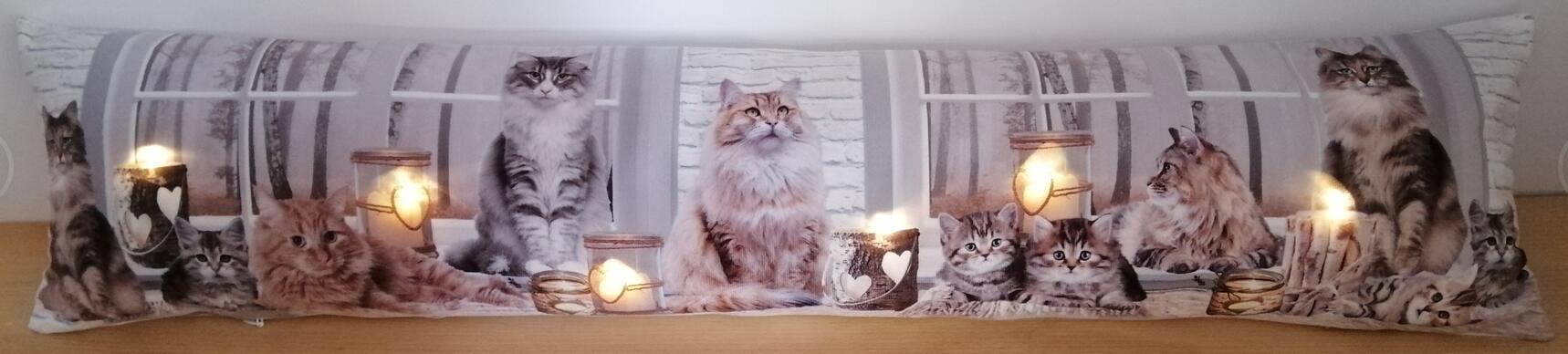 Paraspiffero luminoso